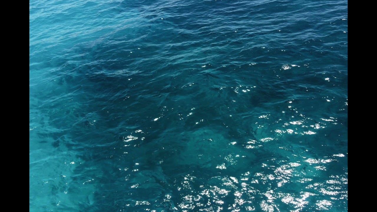 *FREE* Playboi Carti x Young Nudy Type Beat 