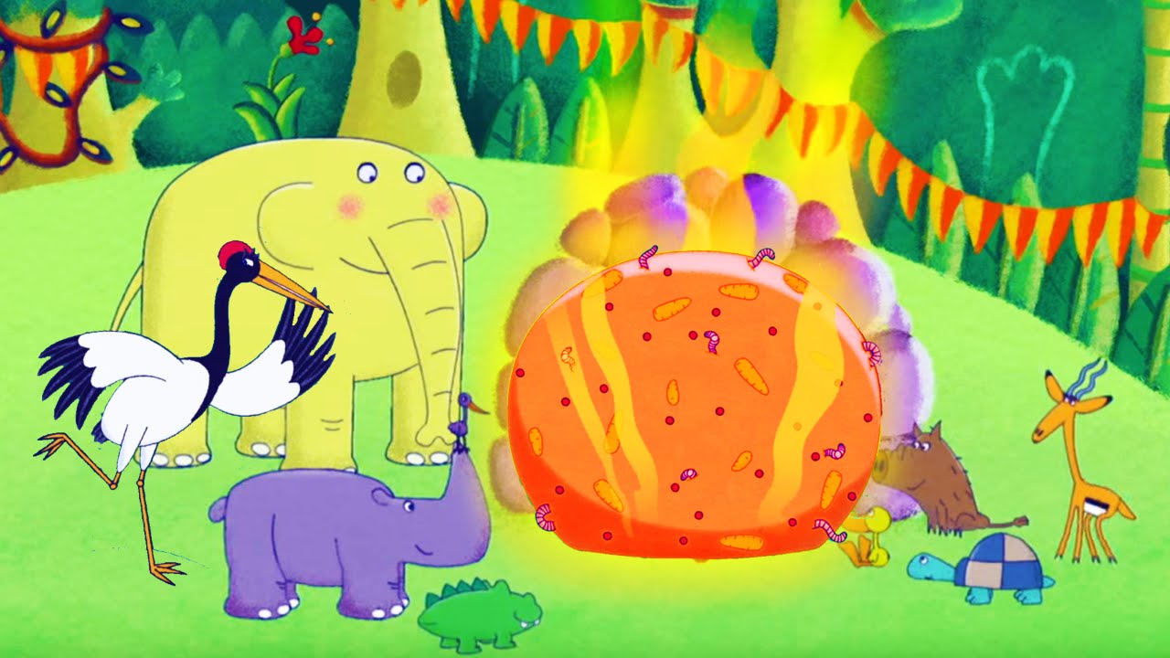 64 Zoo Lane The Jungle Pie and the Cooking Contest - YouTube