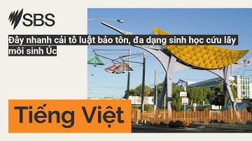 Đẩy nhanh cải tổ luật bảo tồn, đa dạng sinh học cứu lấy môi sinh Úc | SBS Vietnamese - SBS Việt ngữ