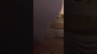 My Gosh Your Size Just Makes Me Want To Step All Over You With My Sweaty Socks,