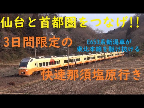 【JR東】仙台と首都圏をつなげ!!!　E653系　ニイU101編成　臨時快速　那須塩原行き