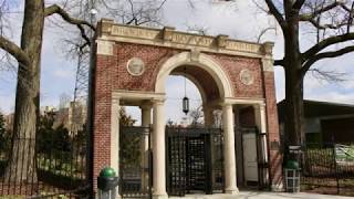 Discover Prospect Lefferts Gardens