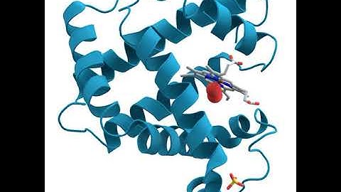 Tandem pore domain potassium channel | Wikipedia audio article