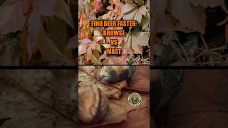 Browse vs Mast in 25 Seconds, Find More Deer! screenshot 5