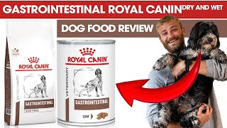 Gastrointestinal Royal Canin Dry and Wet Dog Food Review - The Dog Nutritionist by The Dog Nutritionist 2,488 views 4 months ago 7 minutes, 42 seconds