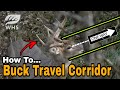 Create Big Buck Travel Corridors
