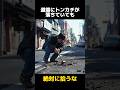道端に落ちているトンカチを絶対に拾ってはいけない理由