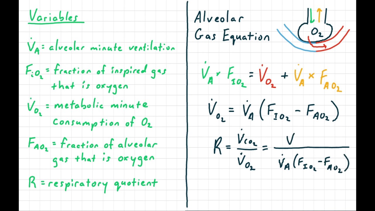 VPMCTS 7 The Alveolar Gas Equation YouTube