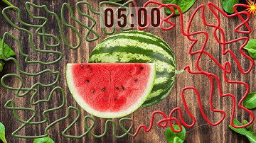 5 Minute Watermelon  Fun Bomb Timer – Juicy Countdown! 🍉⏳