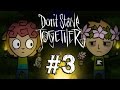 Don't Starve Together Spooky Ghosts