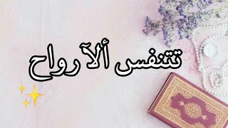 تتنفس الارواح حين تراهُ✨حالات واتس اب دينيه🍂ستوريات اناشيد عن القران الكريم🥀اناشيد اسلاميه قصيرة📖