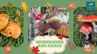 The Mushroom Bunting is a go!! Hares, Yarndale chat and retreat preparations! 🍄‍🟫🍄