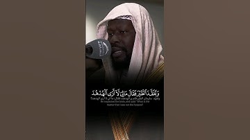 ﴿ وَتَفَقَّدَ ٱلطَّيۡرَ فَقَالَ مَا لِيَ لَآ أَرَى ٱلۡهُدۡهُدَ ﴾  تلاوة حجازية للشيخ عيسى سناكو 🤍