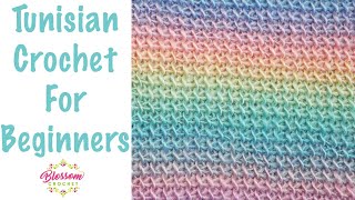 Tunisian Crochet for Beginners  ONE row repeat, for scarves and blankets. Tunisian Simple Stitch