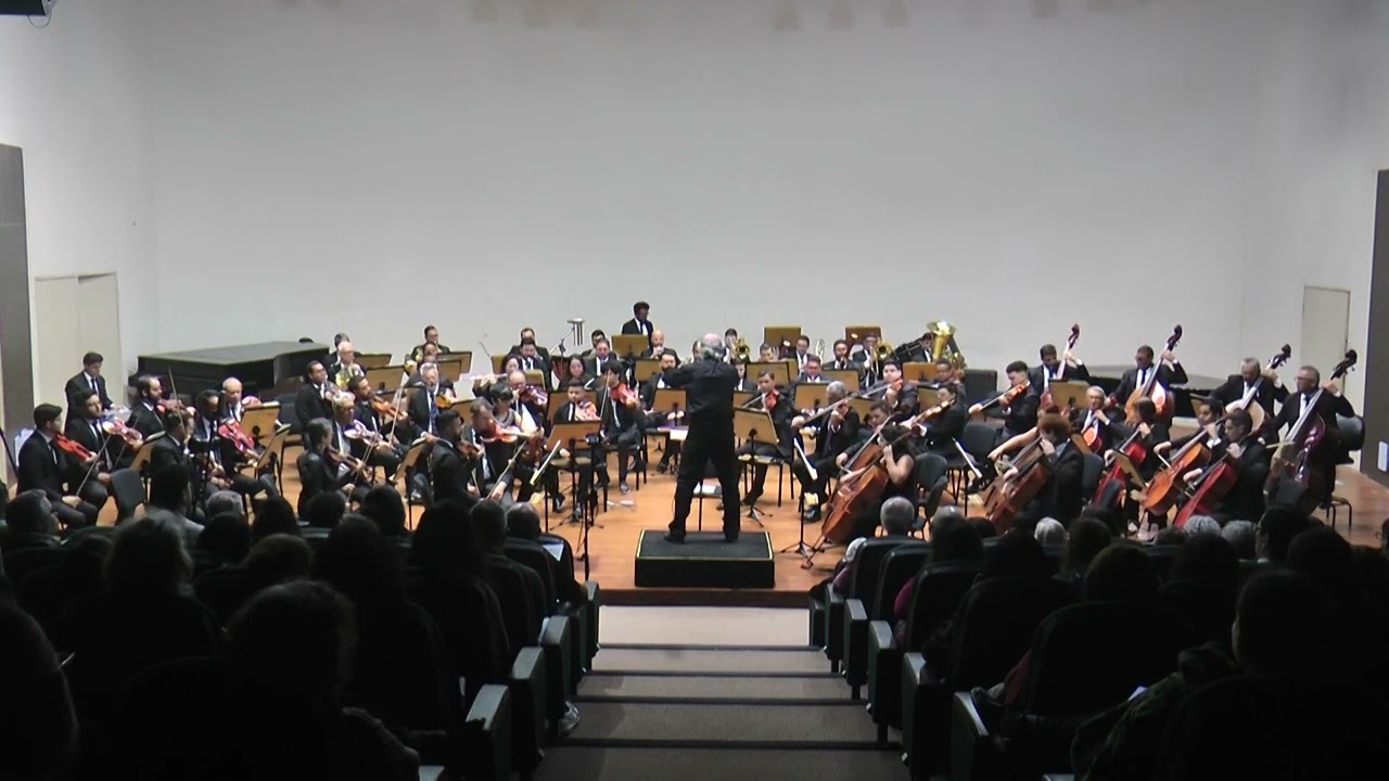 Leopold Stokowski's  Bach  Toccata and Fugue in D minor