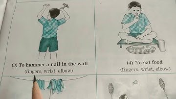 VIKAS EVS STD:2 UNIT:1 MY BODY CHAPTER:1 MOVEMENTS OF THE BODY