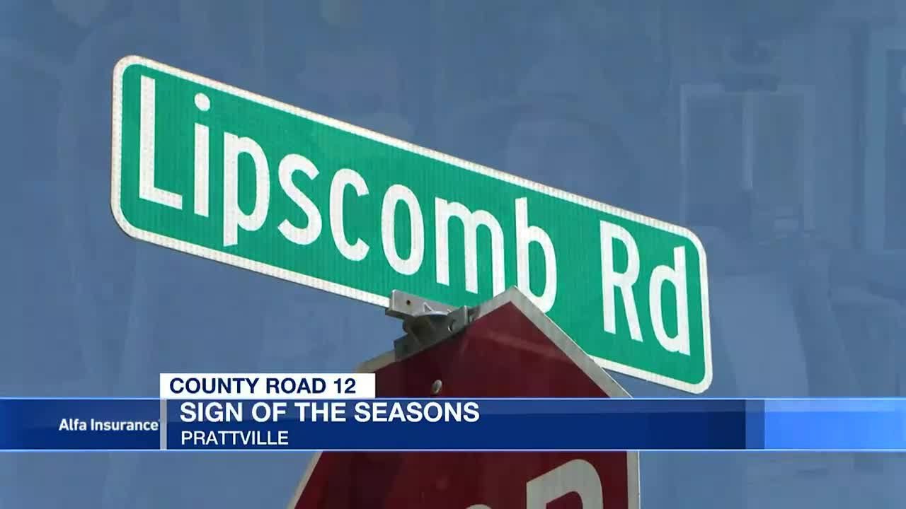 County Road 12: Sign of the seasons - YouTube