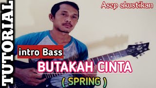TUTORIAL intro Bass BUTAKAH CINTA -- SPRING || Termudah.. untuk pemula