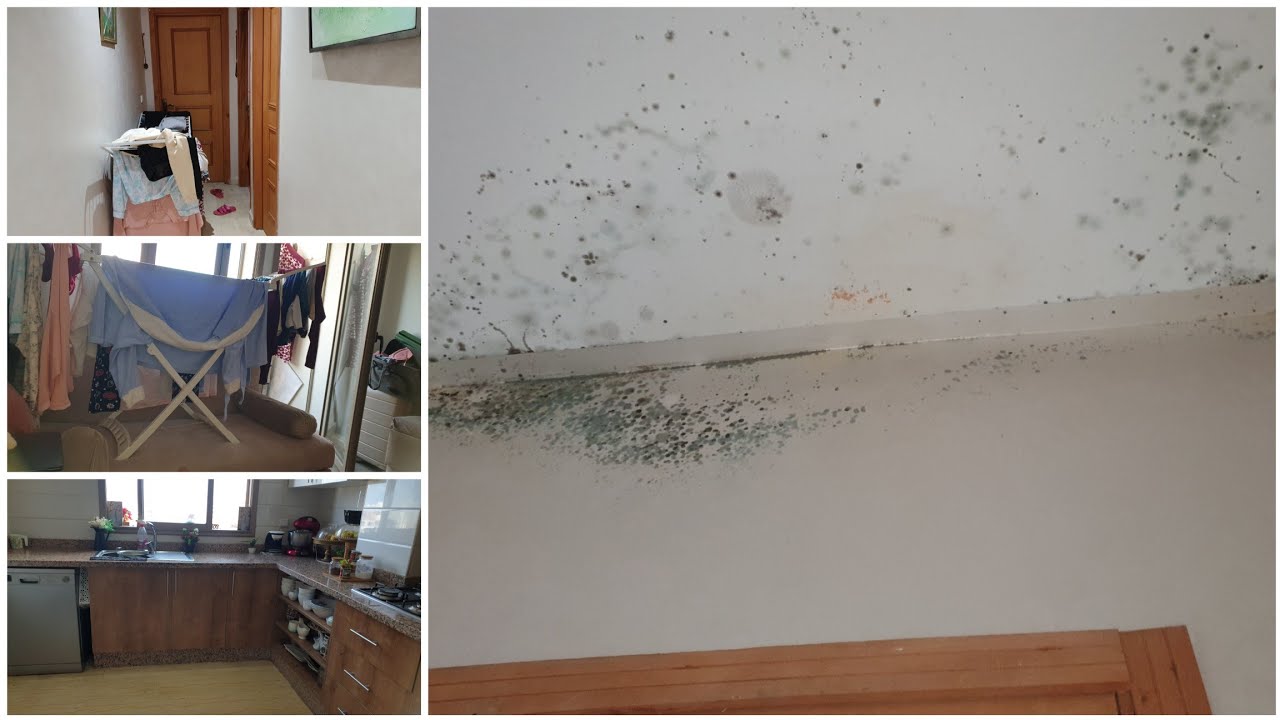 الله المستعان معاناه والله 🤕😔⛈⛈⛈