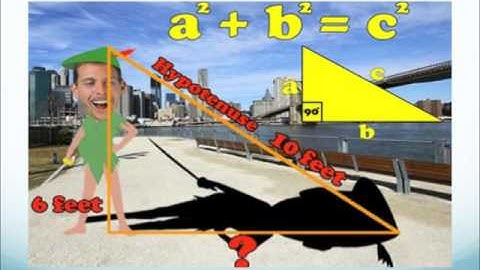 SDAIE Realia strategy Dr  Freeman