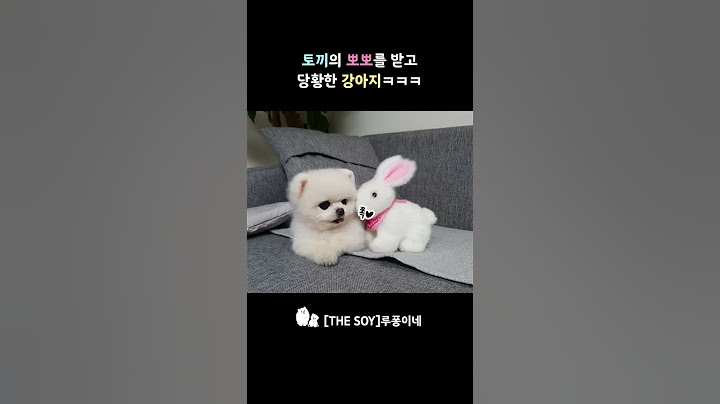 토끼의 뽀뽀를 받고 당황한 강아지ㅋㅋㅋ #루퐁이네