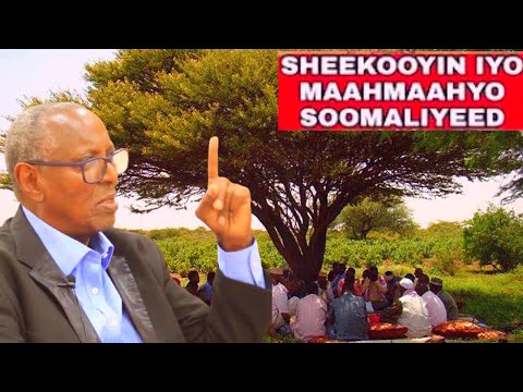 Maahmaahyo iyo sheekooyin hal-ku dheg noqday Idaajaa