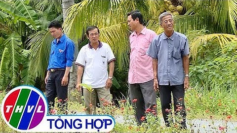 THVL | Nông thôn ngày nay: Huy động nguồn lực xã hội nâng chất nông thôn mới