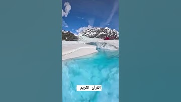 القرآن الكريم/الشيخ هشام الهراز @مجيدوchanel
