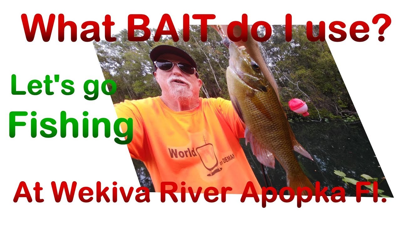 What bait to use at Wekiva River in Apopka Fl I did get some Fish today