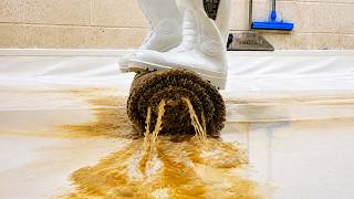 The TOXIC Urine Smell Hit Me the Moment I Picked It Up. Yuk! Satisfying ASMR carpet Cleaning.