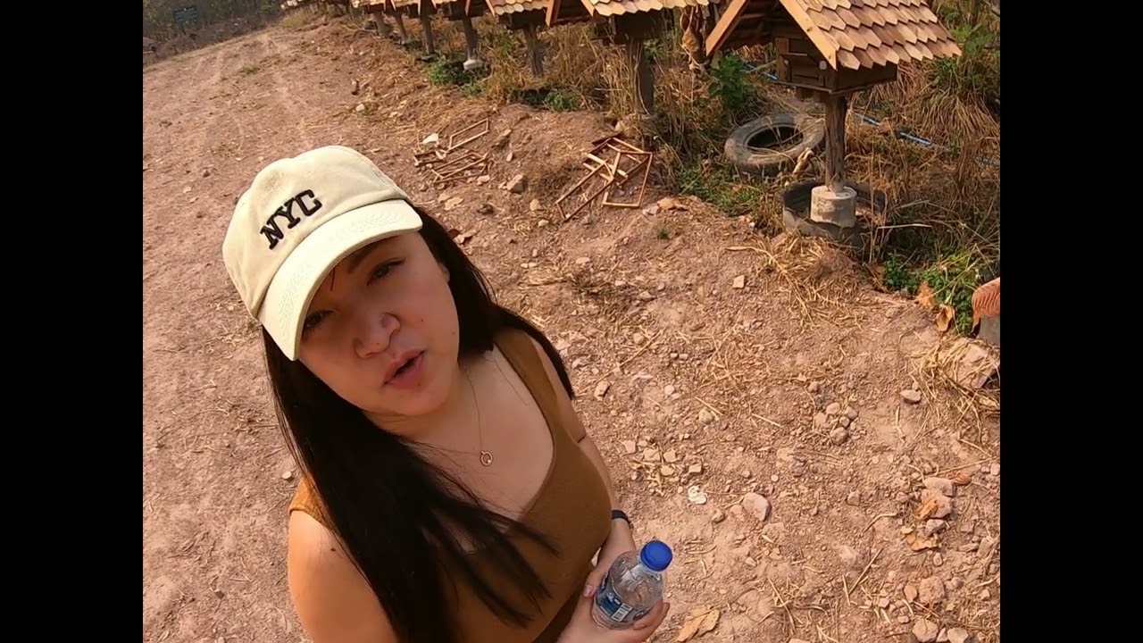 Cerana Bienenhaltung als Beruf in Thailand 1/4