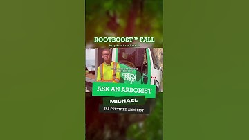 Why Your Tree Looks Sick, But Isn’t Dead Yet | RootBoost™️ Deep Root Fertilization Green Drop Trees