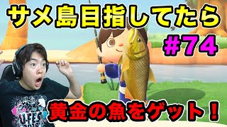 【あつまれどうぶつの森】サメ島目指して、離島へ行ったら黄金の魚をゲットしてしまった！#74