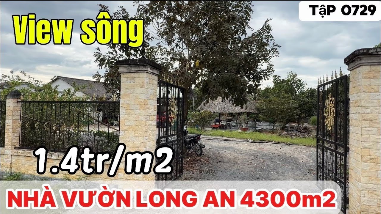 Tập 0729 Nhà vườn Long An 4300m, thổ cư 1581m2, view sông, giá rẻ | Nhà vườn 365
