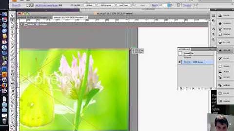 web 2.0 Part4 Adobe Illustrator CS4