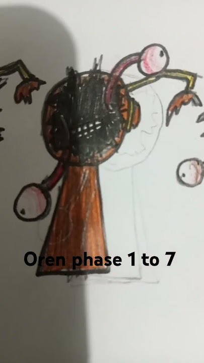 Oren phase 1 to 7