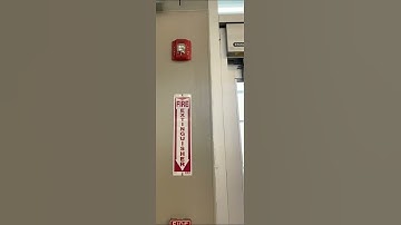 System Sensor Spectralert Advance P2R Horn Strobe