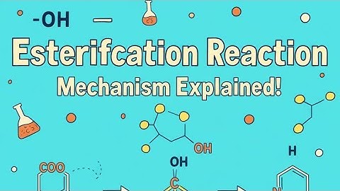 B.Sc. 3rd Semester Chemistry | Organic ChemistryLecture Topic: Esterification Reaction