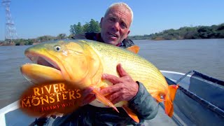 MONSTER Golden Dorado Catch! | MASSIVE MONSTER | River Monsters