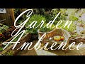 Garden Ambience wind chimes and birds singing 6 hour relaxation  mp3