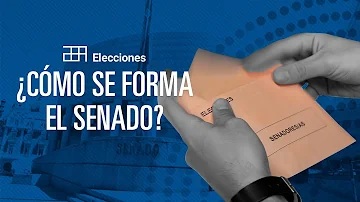 Como é formado o Senado Federal?