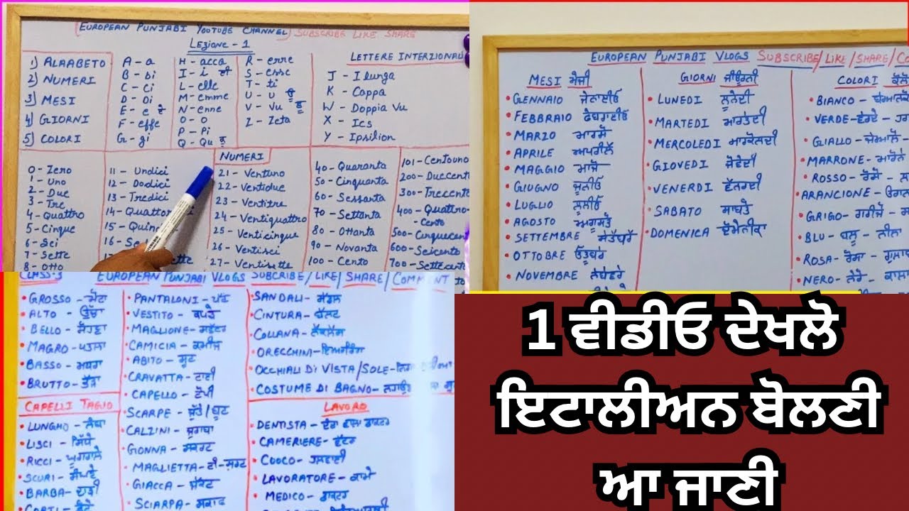 punjabi to italian course || daily use words || sentances || vocabulary || work #italianlanguage