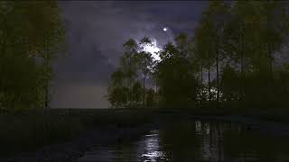 LAKEY INSPIRED - Night Swim