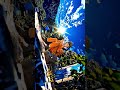 Shorts East Duo I Chubina song aesthetic #shorts #edit #tutorial #tune #miusic #minecraft #fortnite