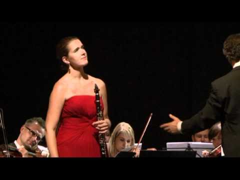 Gabriel´s Oboe (clarinet version) Ennio Morricone