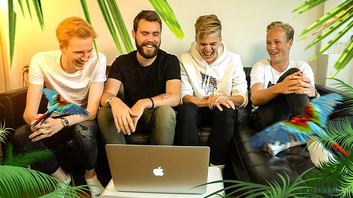 DE BANKZITTERS REAGEREN OP HUN VAKANTIE VIDEO'S