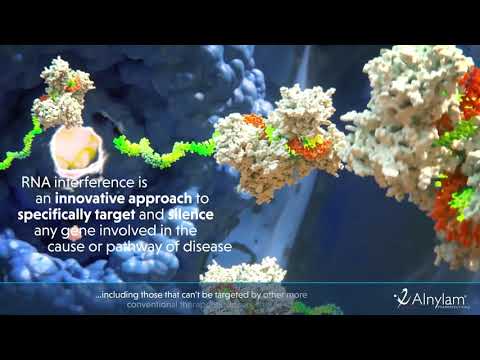 RNAi Therapeutics -