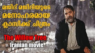 The willow tree 2005 Movie Explained in Malayalam | Part 1| Cinema Katha | Malayalam Podcast