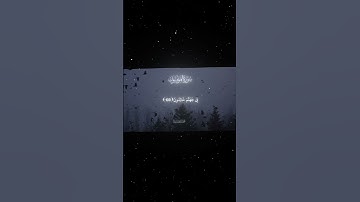 سورة المؤمنون|102-104|القارئ:#محمد_اللحيدان #قران#quran#راحة_نفسية#قران_كريم#تلاوة_هادئة#تلاوة_خاشعة