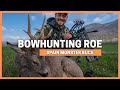 BOWHUNTING HUGE ROE BUCK SPOT AND STALK 🔥 EXTRA TIME 🔥 ROE DEER HUNT IN SPAIN WITH A BOW